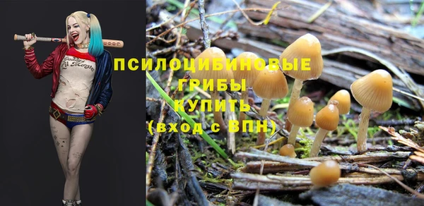 прущие крисы Белоозёрский