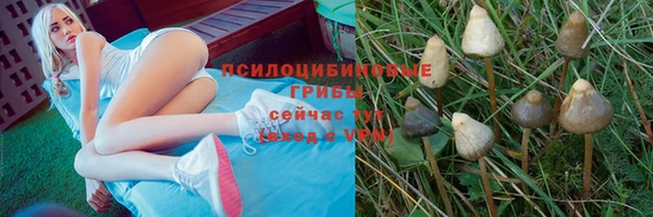 ПСИЛОЦИБИНОВЫЕ ГРИБЫ Богородск