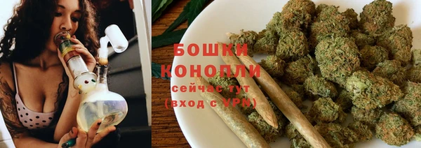 эйфоретик Белокуриха